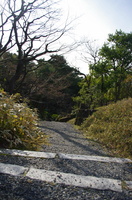 Umekoji Park 069